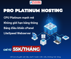 Pro Platinum Hosting 300x250