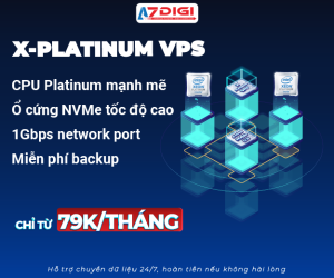 X Platinum VPS 300x250